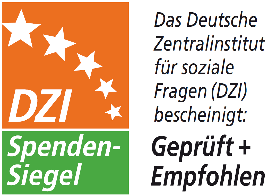 DZI-Spendenlogo