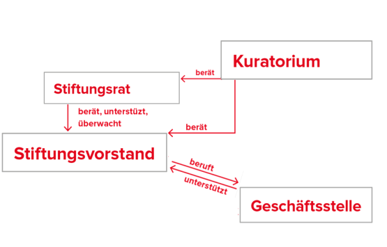 grobes Organigramm der DSV