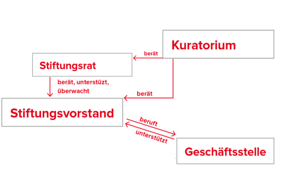 Organigramm der Stiftung, ©DSV