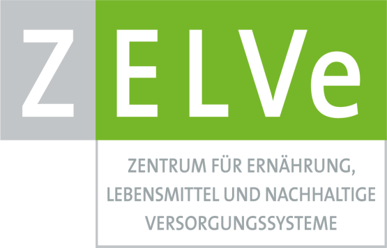 Z grau unterlegt, ELVe grün unterlegt und Schriftzug